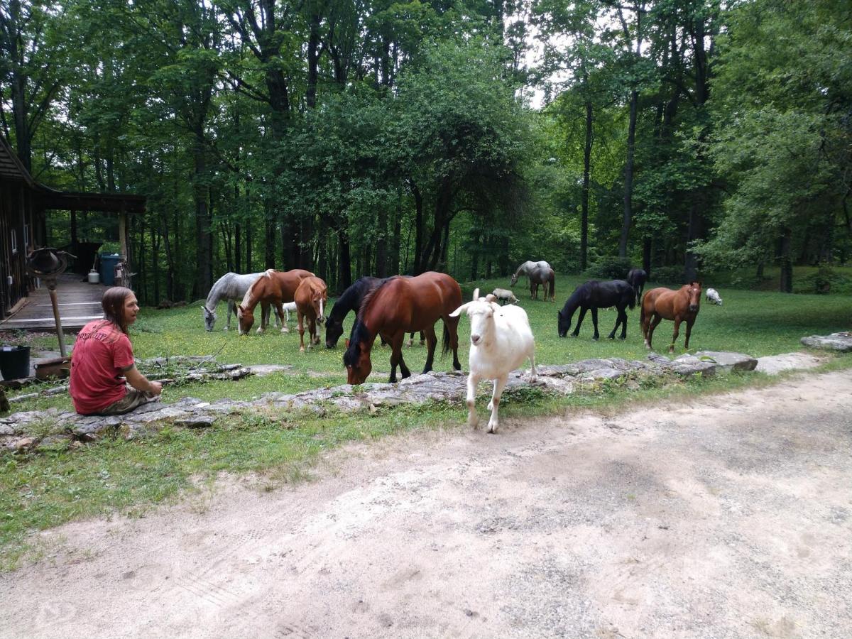 Arrowmont Stables & Cabins Cullowhee Exterior foto
