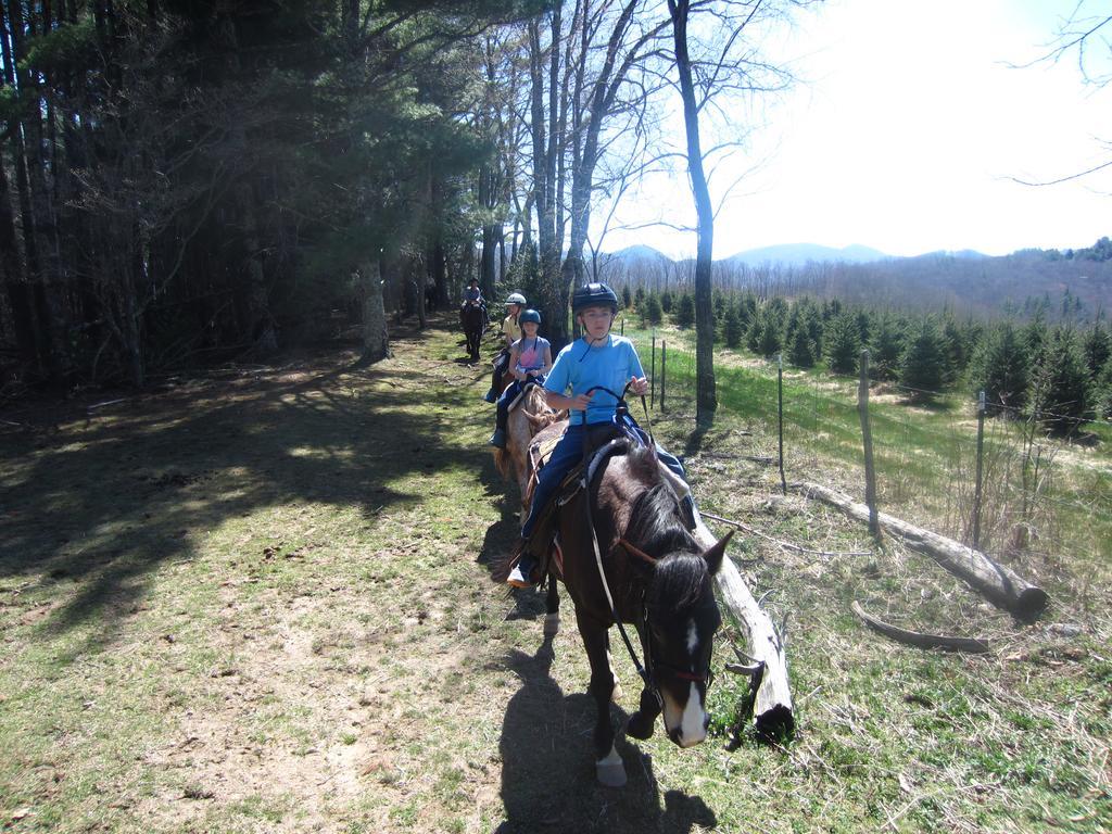 Arrowmont Stables & Cabins Cullowhee Exterior foto